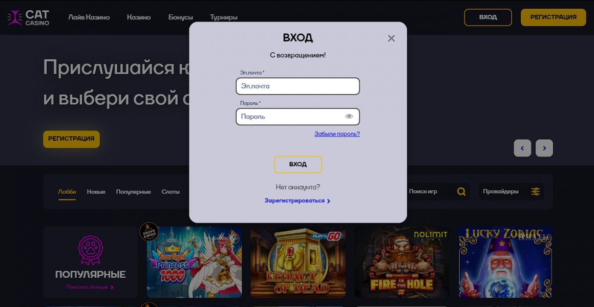 Вход и верификация на сайте Cat Casino